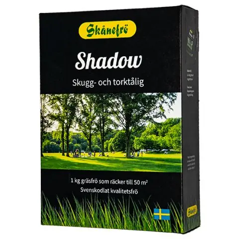 Rea Skånefrö Shadow 631702 Gräsfrö